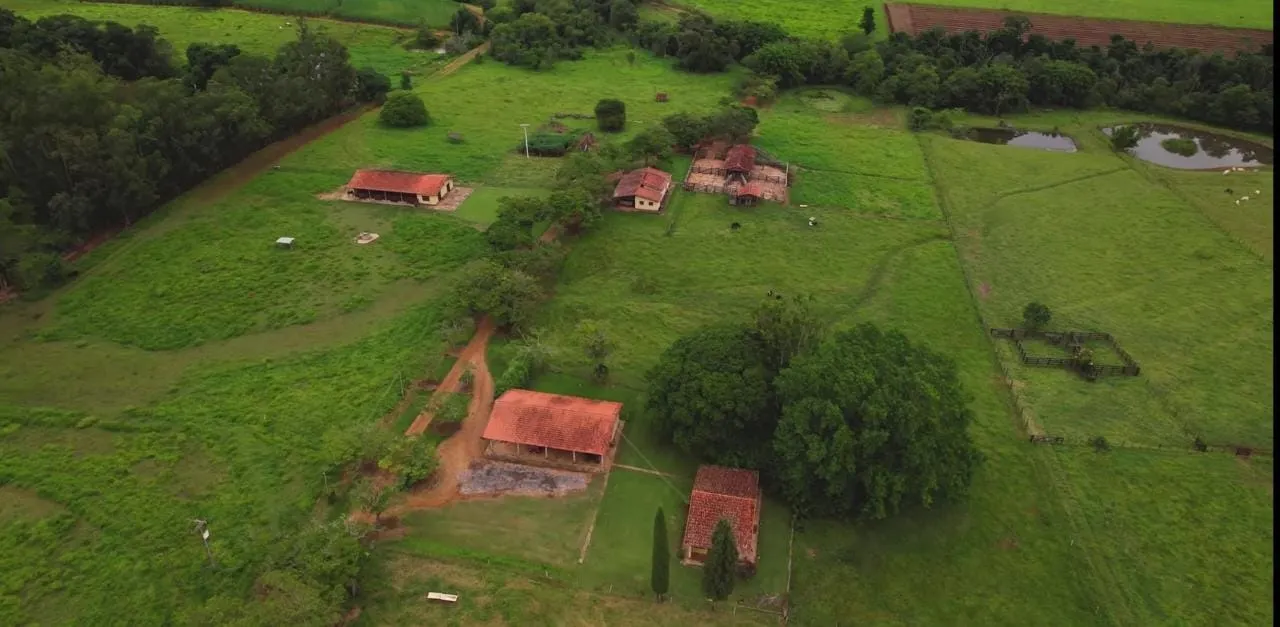 Fazenda à venda e para Arrendar de 194 ha em Quadra, SP, Brasil