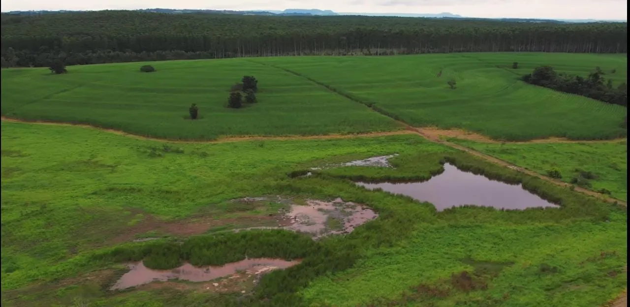 Fazenda à venda e para Arrendar de 194 ha em Quadra, SP, Brasil