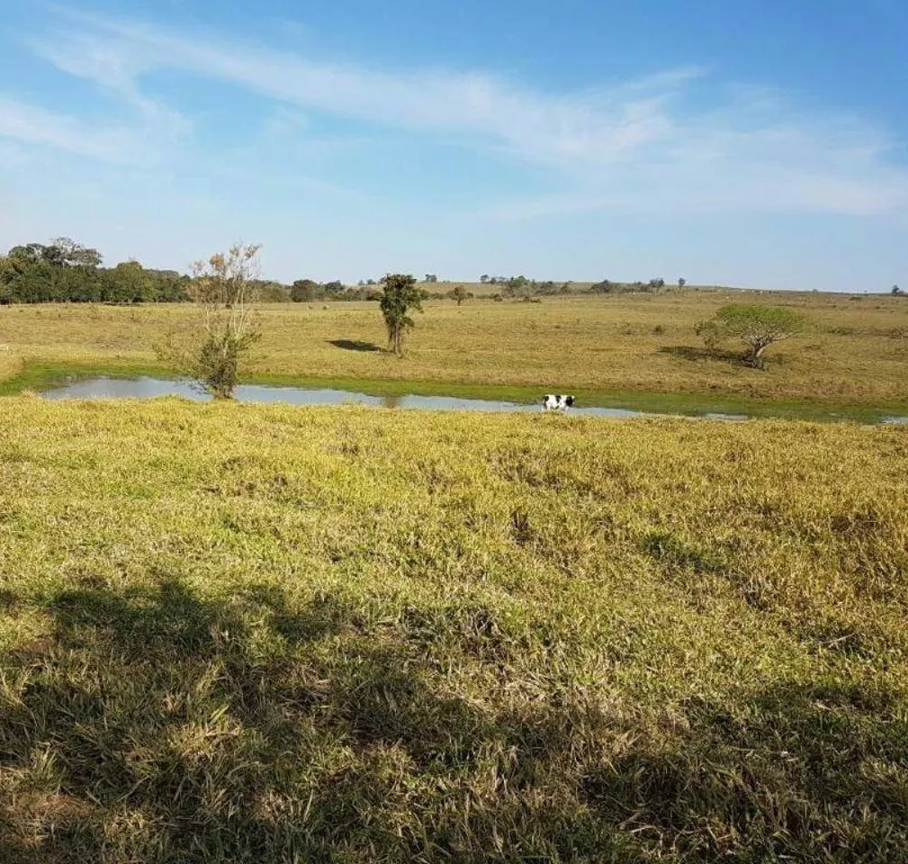 Fazenda à venda e para Arrendar de 194 ha em Quadra, SP, Brasil