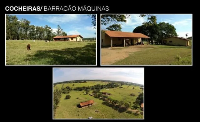 Fazenda à venda e para Arrendar de 194 ha em Quadra, SP, Brasil