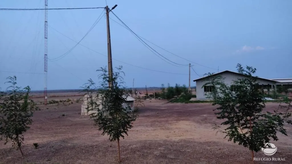 Fazenda à venda de 2.150 ha em Carolina, MA, Brasil