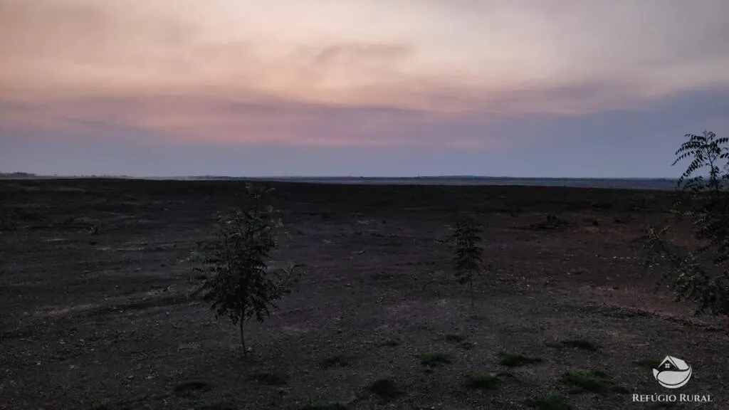 Fazenda à venda de 2.150 ha em Carolina, MA, Brasil