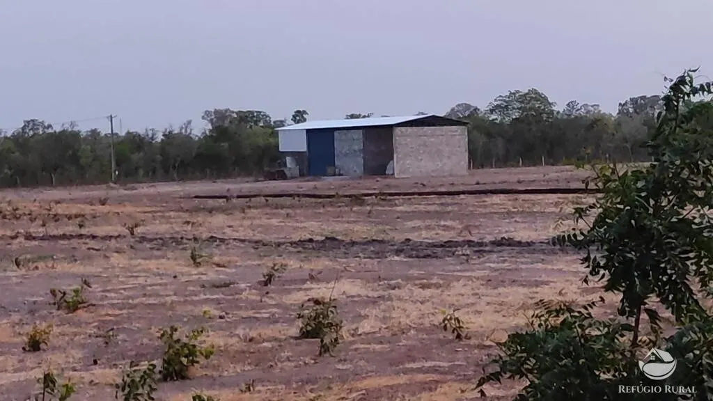 Fazenda à venda de 2.150 ha em Carolina, MA, Brasil
