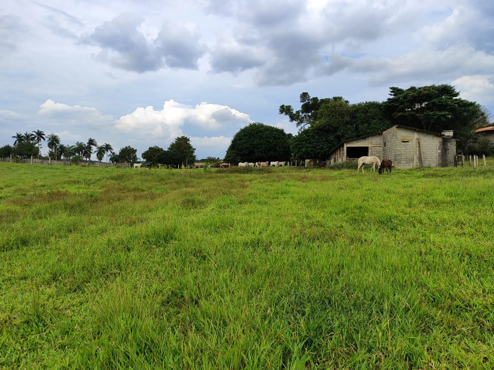 Sítio à venda de 24 ha em Salto de Pirapora, SP, Brasil