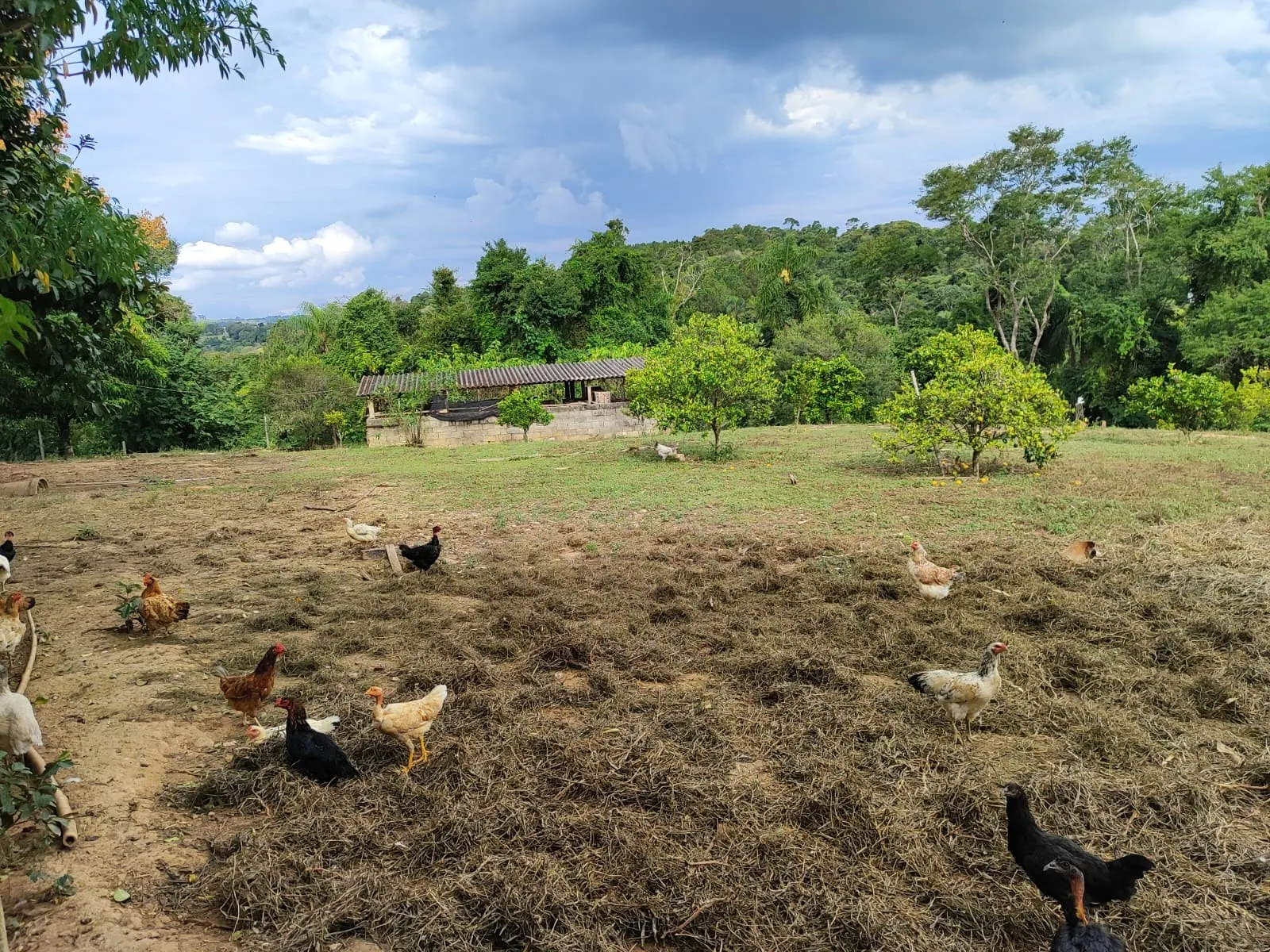 Sítio à venda de 24 ha em Salto de Pirapora, SP, Brasil