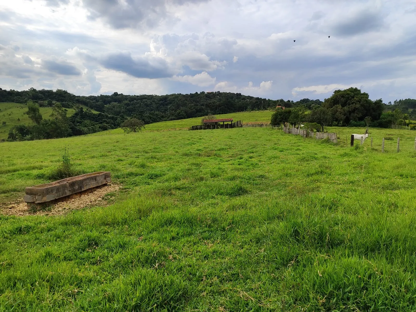 Sítio à venda de 24 ha em Salto de Pirapora, SP, Brasil