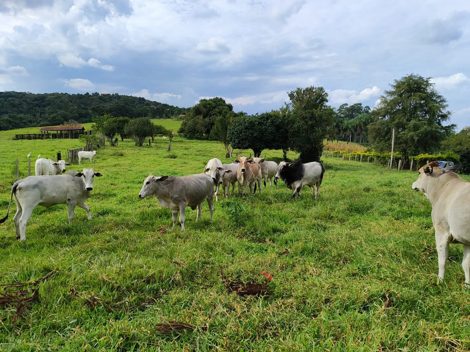 Sítio à venda de 24 ha em Salto de Pirapora, SP, Brasil