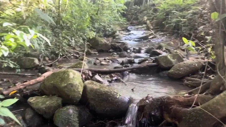 Country home for sale of 10 acres in Rolante, RS, Brazil