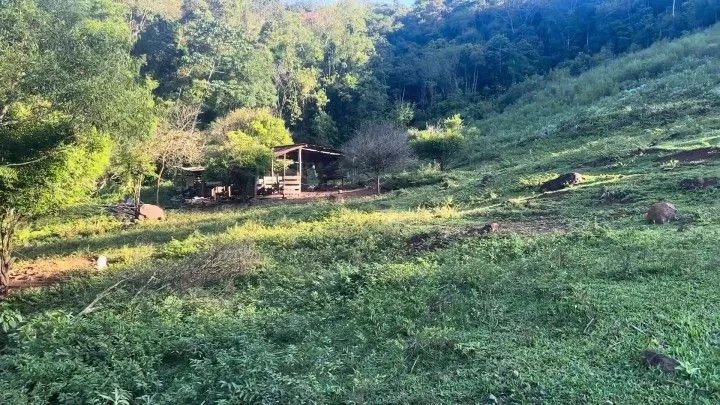 Country home for sale of 10 acres in Rolante, RS, Brazil