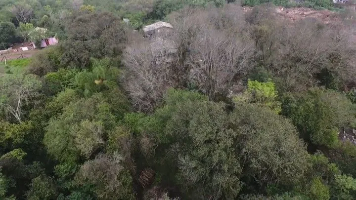 Chácara à venda de 4 ha em Rolante, RS, Brasil