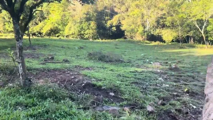 Country home for sale of 10 acres in Rolante, RS, Brazil