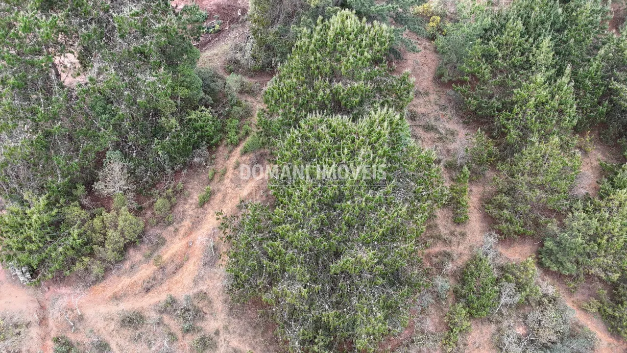 Plot for sale of 1,685 m² in Campos do Jordão, SP, Brazil
