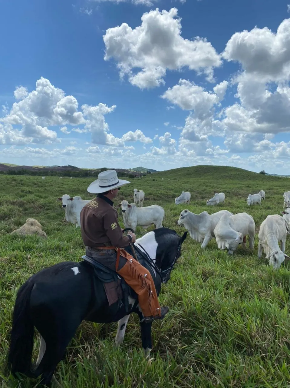 Fazenda à venda de 6.000 ha em Santa Helena, MA, Brasil