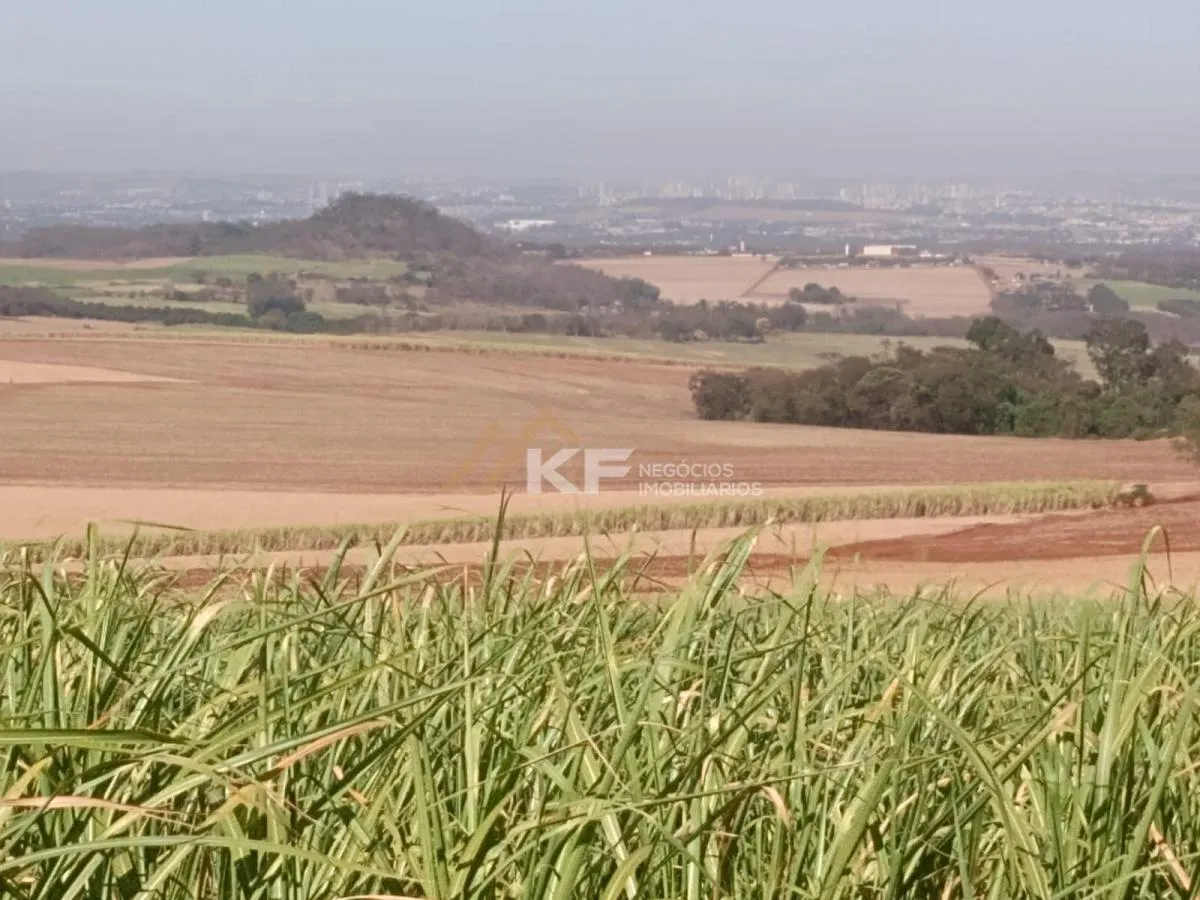 Fazenda à venda de 82 ha em Brodowski, SP, Brasil