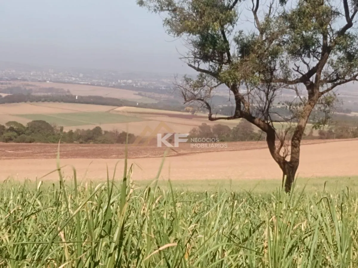 Fazenda à venda de 82 ha em Brodowski, SP, Brasil