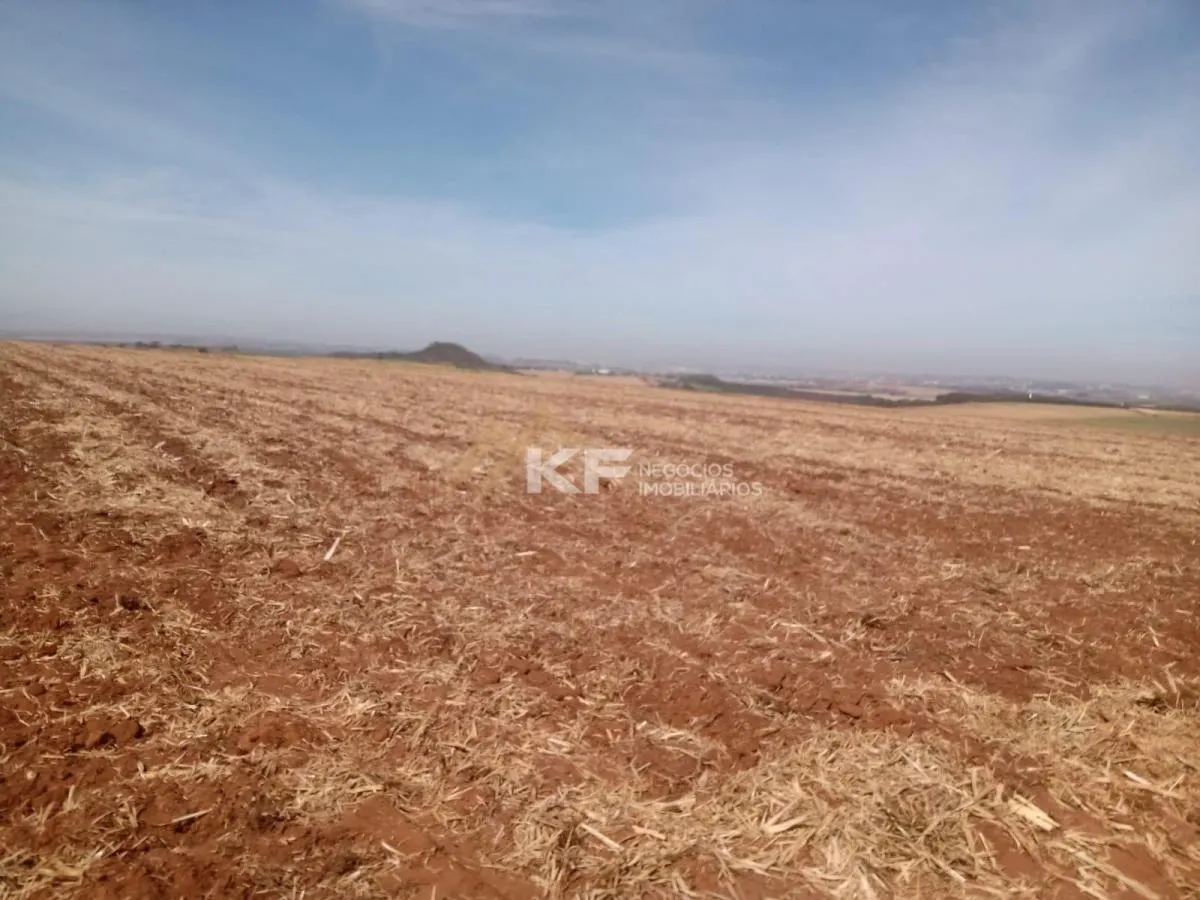 Fazenda à venda de 82 ha em Brodowski, SP, Brasil