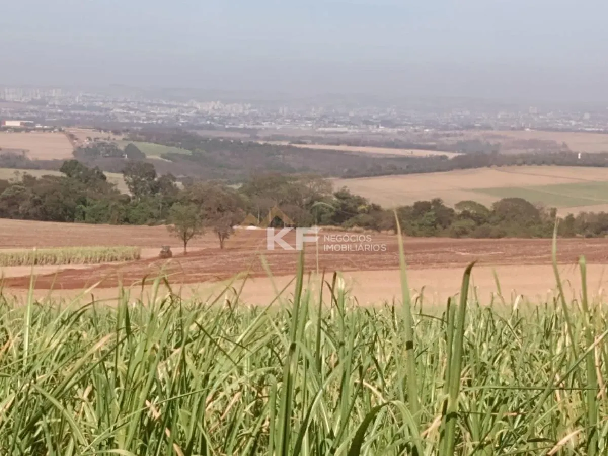 Fazenda à venda de 82 ha em Brodowski, SP, Brasil