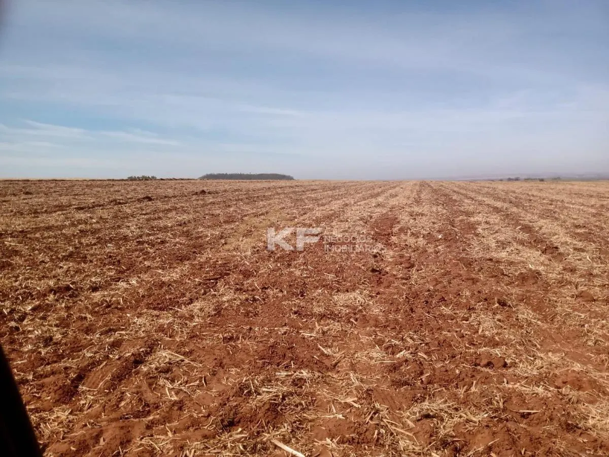 Fazenda à venda de 82 ha em Brodowski, SP, Brasil