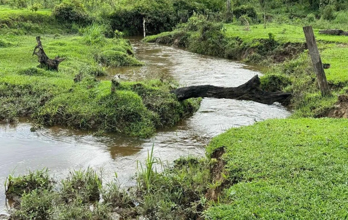 Fazenda à venda de 169 ha em Sete Barras, SP, Brasil