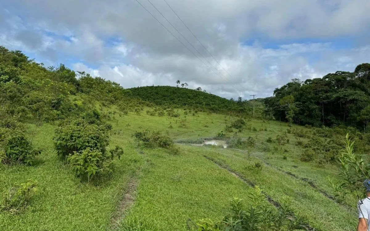 Fazenda à venda de 169 ha em Sete Barras, SP, Brasil