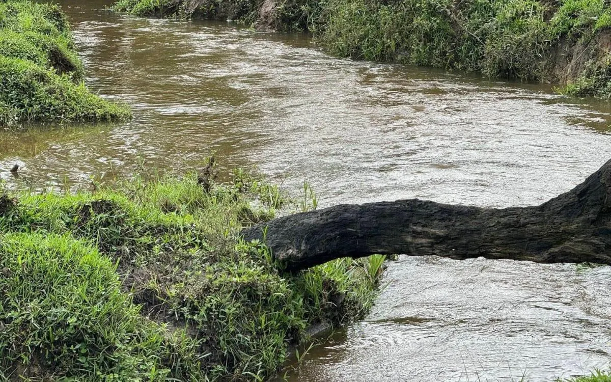 Fazenda à venda de 169 ha em Sete Barras, SP, Brasil