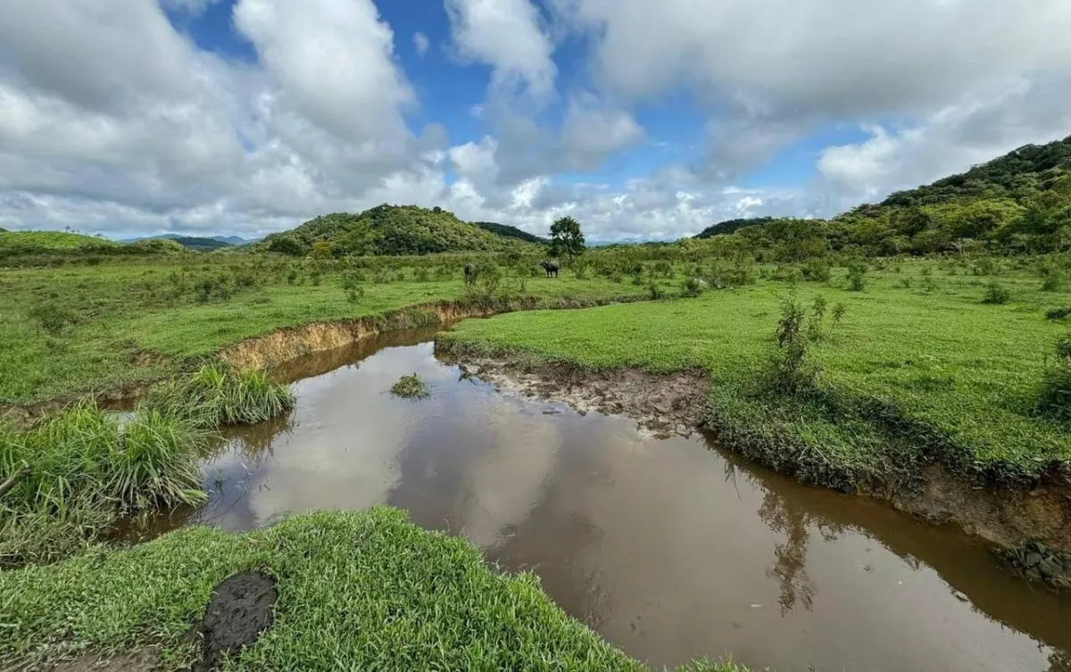 Fazenda à venda de 169 ha em Sete Barras, SP, Brasil