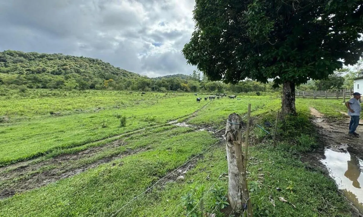 Fazenda à venda de 169 ha em Sete Barras, SP, Brasil