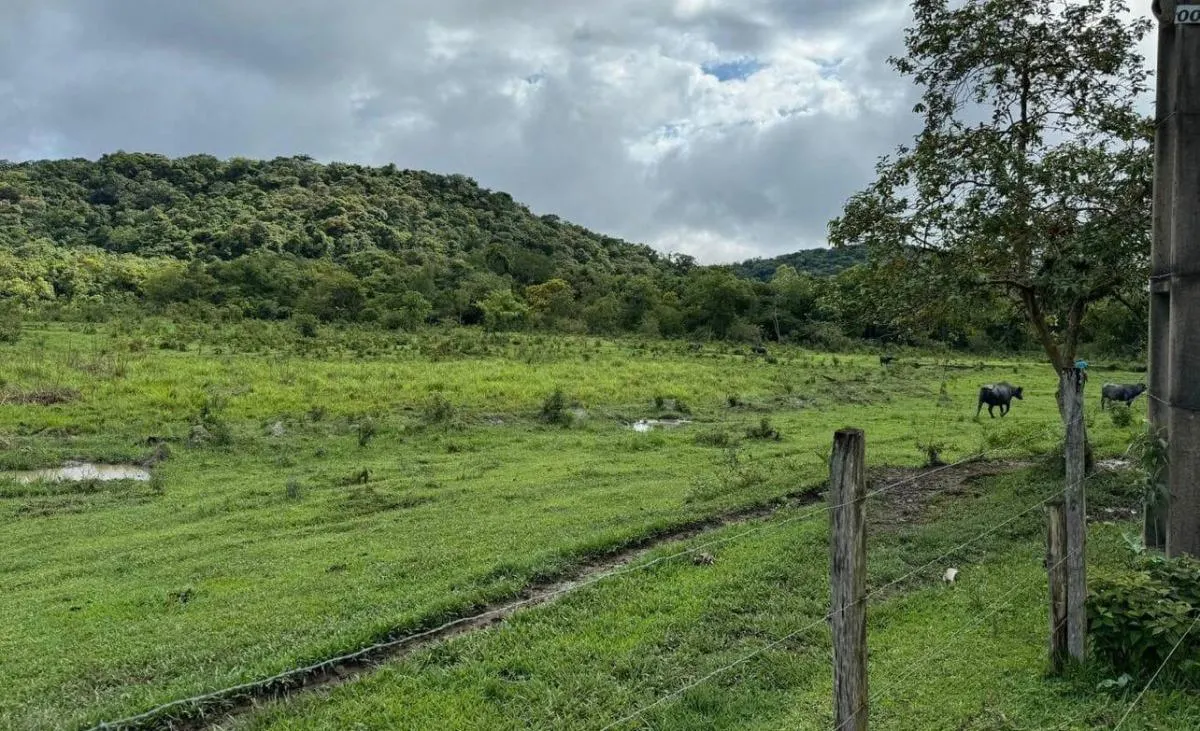 Fazenda à venda de 169 ha em Sete Barras, SP, Brasil