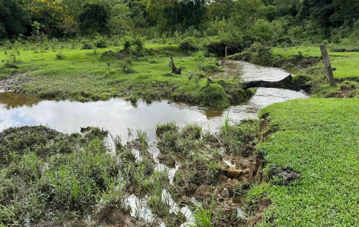 Fazenda à venda de 169 ha em Sete Barras, SP, Brasil