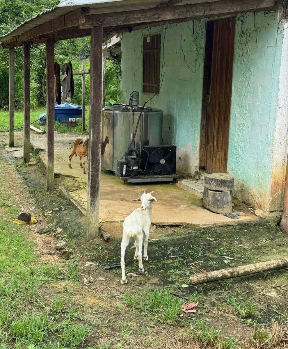 Fazenda à venda de 169 ha em Sete Barras, SP, Brasil