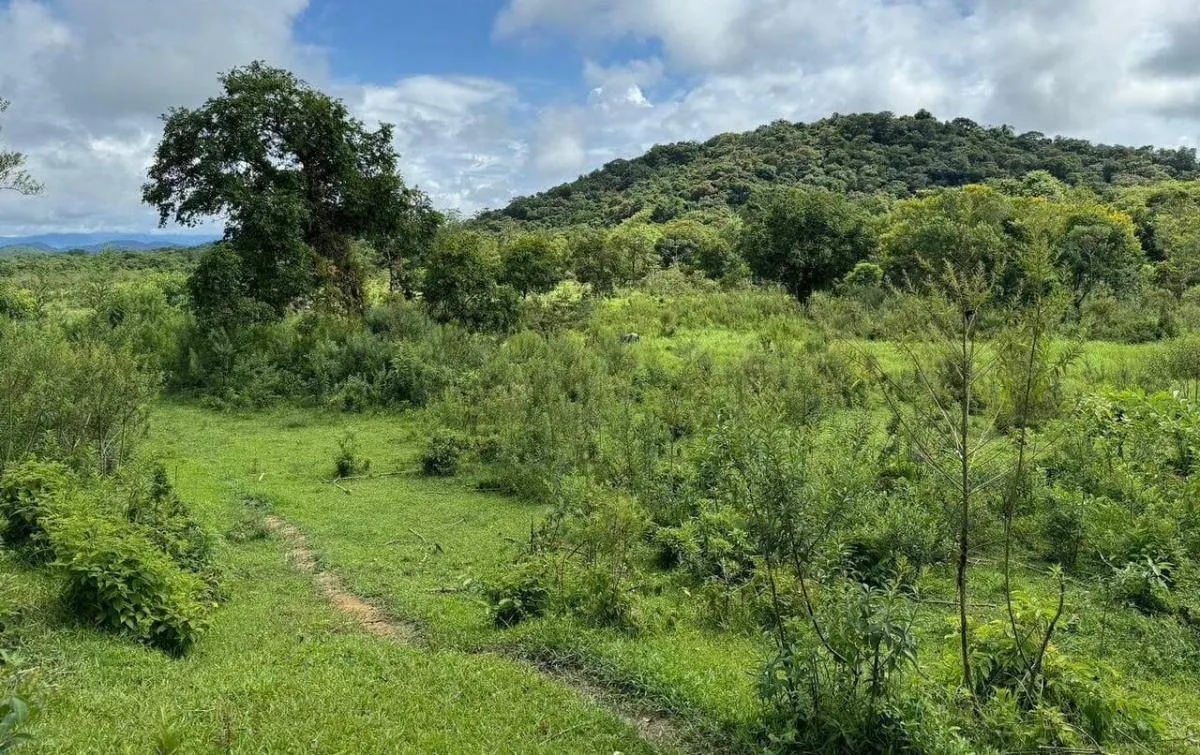 Fazenda à venda de 169 ha em Sete Barras, SP, Brasil