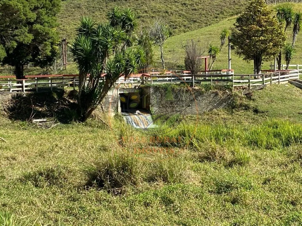 Small farm for sale of 89 acres in Santo Antônio do Pinhal, SP, Brazil