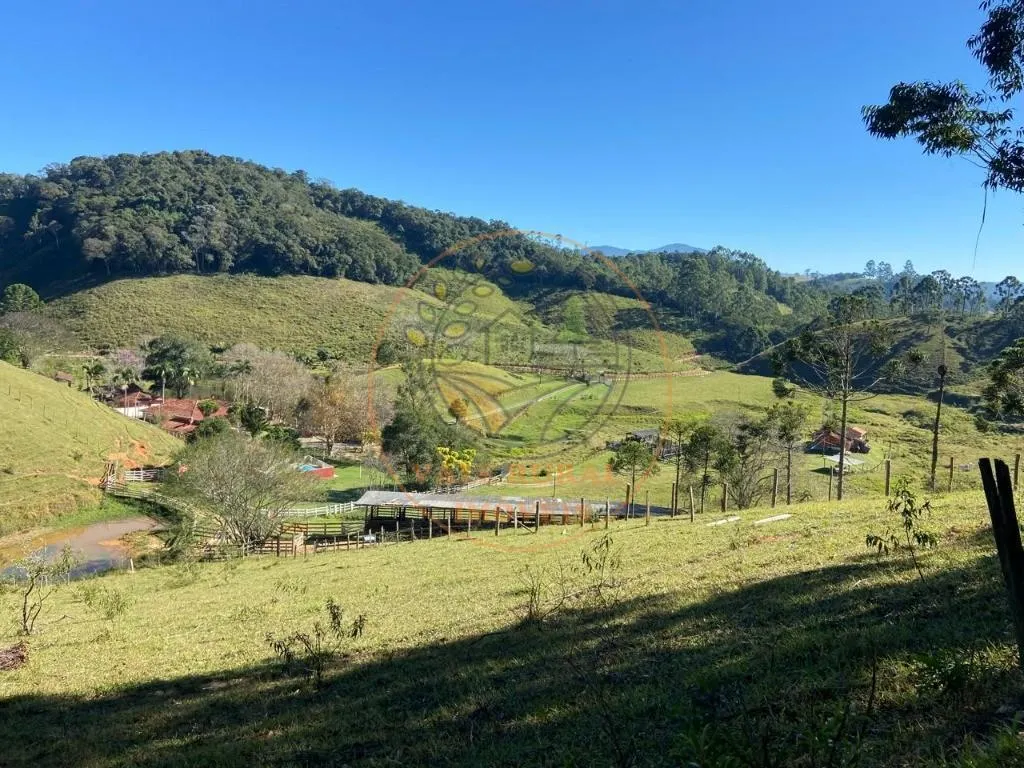 Small farm for sale of 89 acres in Santo Antônio do Pinhal, SP, Brazil