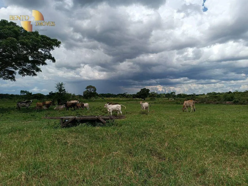 Fazenda à venda de 700 ha em Poconé, MT, Brasil