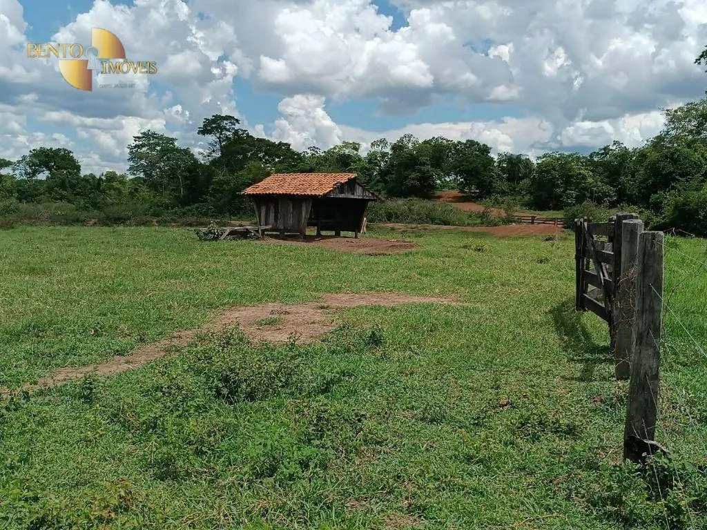 Fazenda à venda de 700 ha em Poconé, MT, Brasil