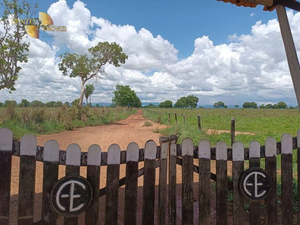 Fazenda à venda de 700 ha em Poconé, MT, Brasil