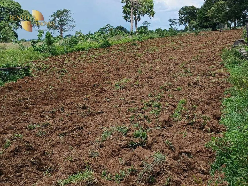 Fazenda à venda de 700 ha em Poconé, MT, Brasil