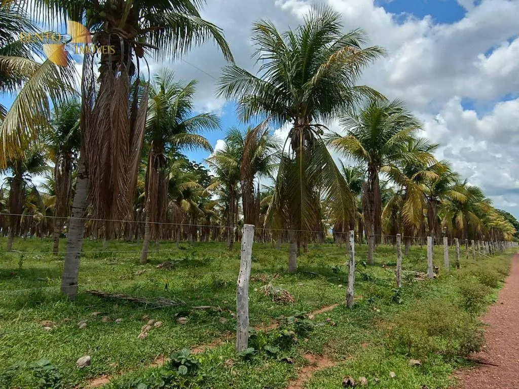Fazenda à venda de 700 ha em Poconé, MT, Brasil