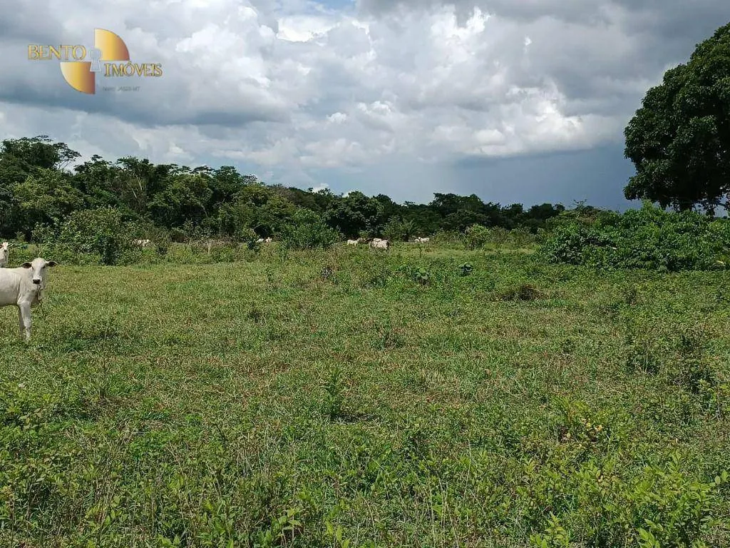 Fazenda à venda de 700 ha em Poconé, MT, Brasil