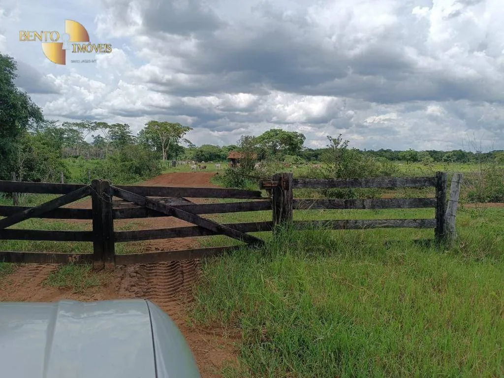 Fazenda à venda de 700 ha em Poconé, MT, Brasil