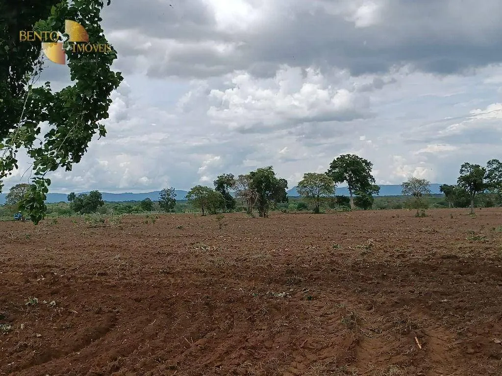 Fazenda à venda de 700 ha em Poconé, MT, Brasil