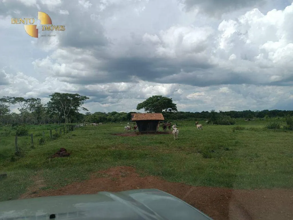 Fazenda à venda de 700 ha em Poconé, MT, Brasil