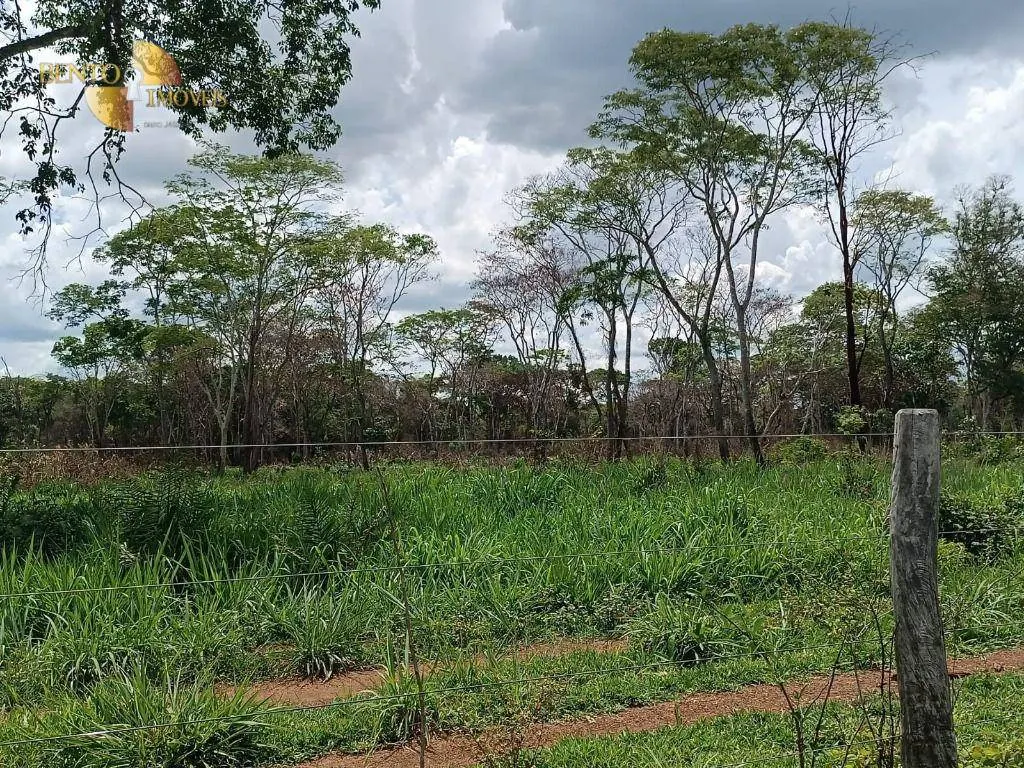 Fazenda à venda de 700 ha em Poconé, MT, Brasil