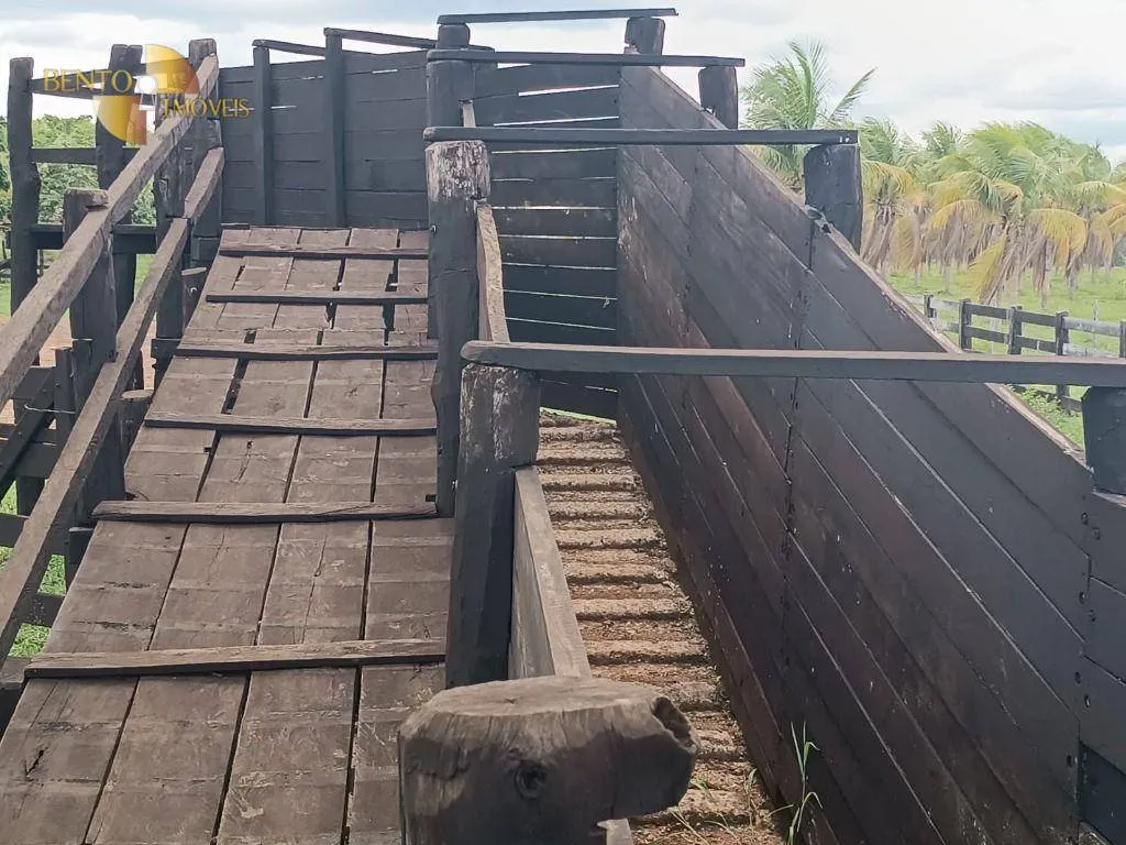 Fazenda à venda de 700 ha em Poconé, MT, Brasil