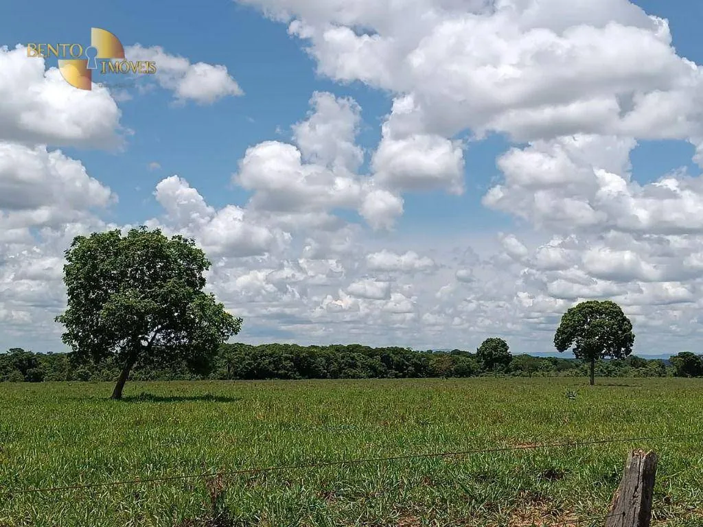 Fazenda à venda de 700 ha em Poconé, MT, Brasil
