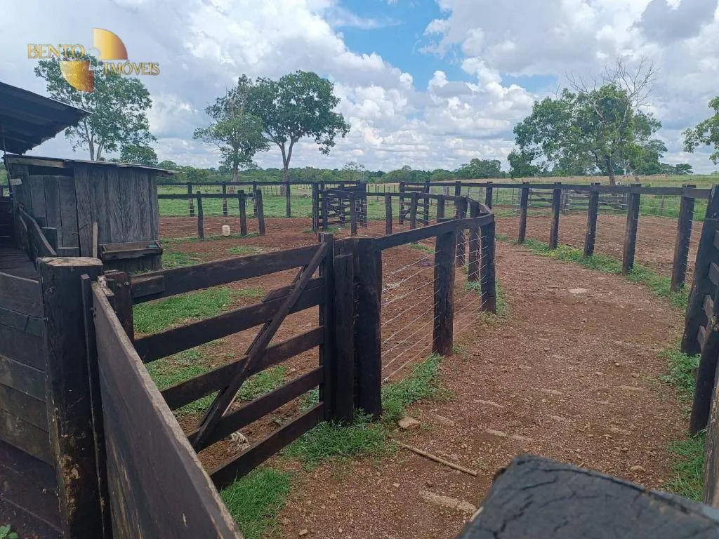 Fazenda à venda de 700 ha em Poconé, MT, Brasil