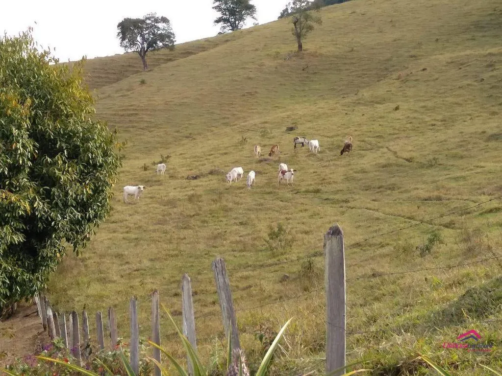 Fazenda à venda de 253 ha em Silveiras, SP, Brasil