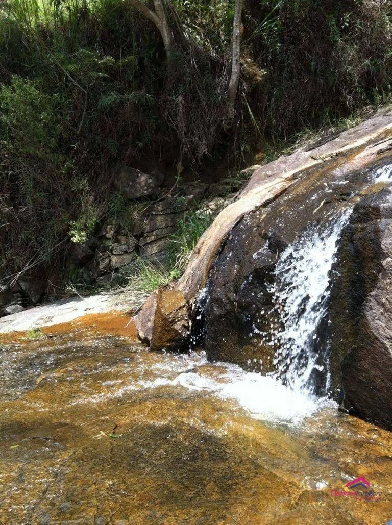 Fazenda à venda de 253 ha em Silveiras, SP, Brasil