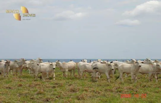 Fazenda à venda de 7.800 ha em Nova Mutum, MT, Brasil