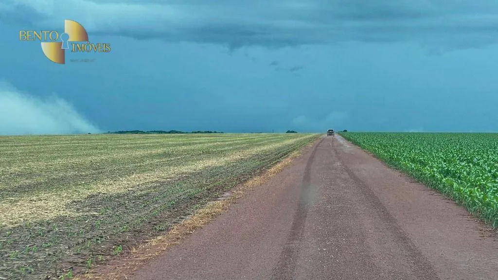 Fazenda à venda de 7.800 ha em Nova Mutum, MT, Brasil